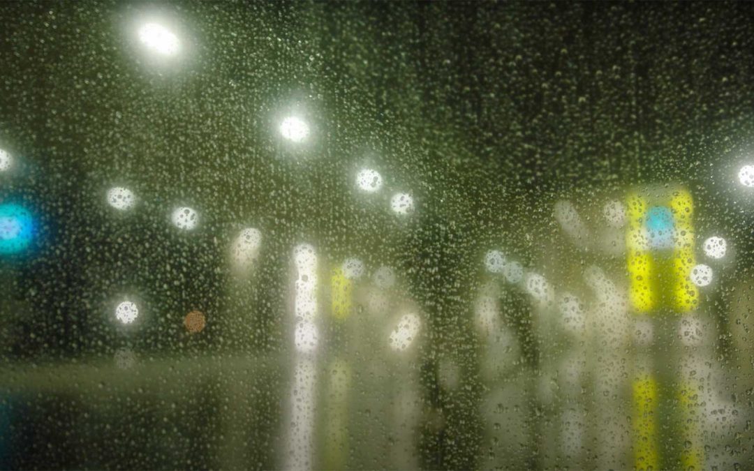 Zesty Enterprises – Trailer